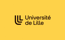 logo Lille