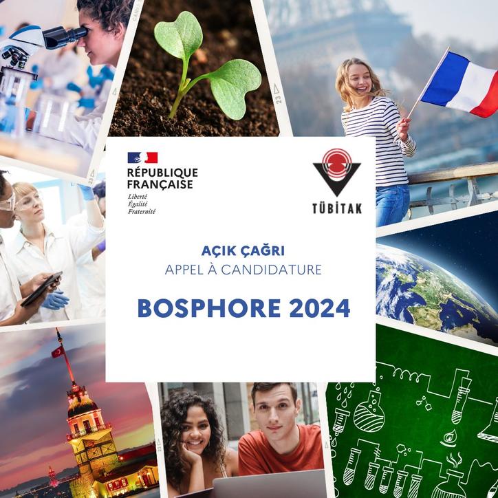 Bosphore 2024